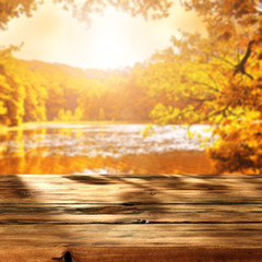 Obraz premium autumn background 