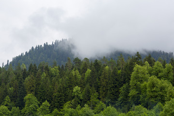 Горы Абхазии. Облака над горой в Абхазии. Mountains Of Abkhazia. Clouds over the mountain in Abkhazia.