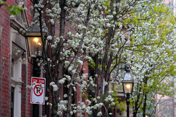 Beacon Hill, Boston..