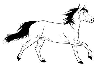 Obraz na płótnie Canvas Running Horse Sketch