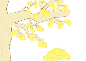 Cheese tree