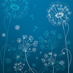 Fototapety  Ciemnoniebieskie kwiaty mniszka lekarskiego