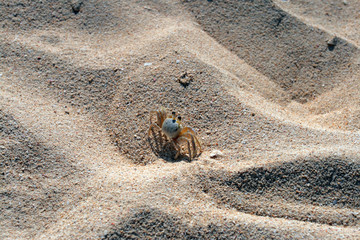 Doctor's Cave Beach Club, Montego Bay, Jamaica..