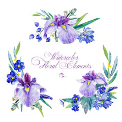Set of floral elements for design.