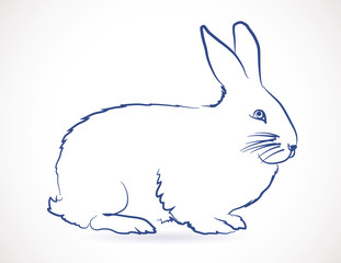 dessin, croquis de lapin