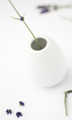  Vase mit Stengel