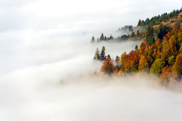 Fototapety  Jesienny krajobraz