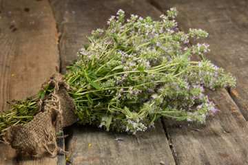  Blooming thyme