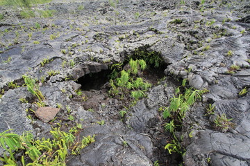 tunnel de lave, Réunion