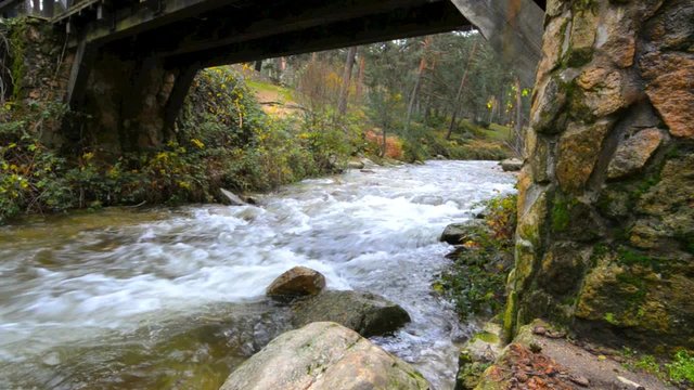 Water flowing under an ancient wood bridge in river Eresma at Boca del Asno natural park on a rainy day in Segovia, Spain. 
