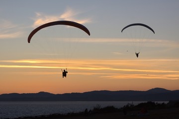 Paragliders