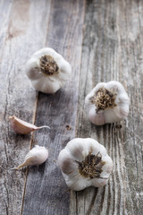 Three Heads of Garlic