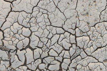 Dry mud texture