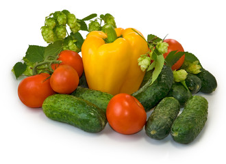  vegetables on white background