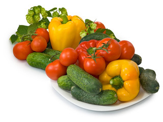 Fototapeta na wymiar many fresh vegetables on a plate