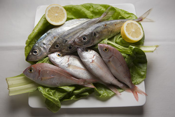 pescado fresco