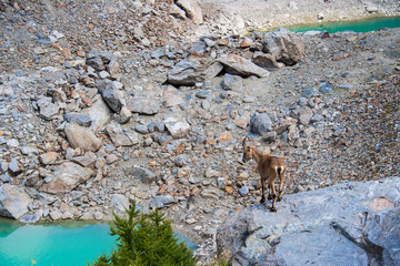 Miage lake
