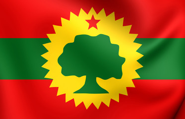 Flag of Oromo Liberation Front - 90488442