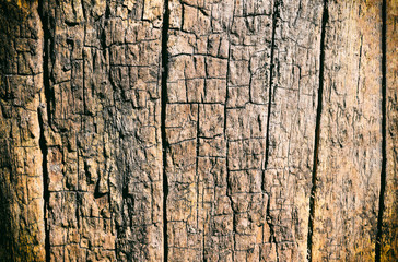 wood Grain