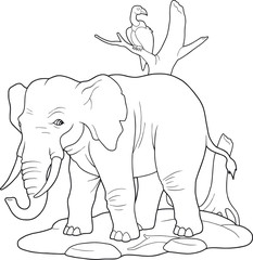 elephant