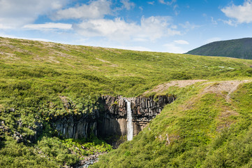 Beautiful waterfall Svartifoss in Iceland