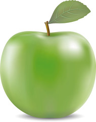 Vector illustration of big green apple