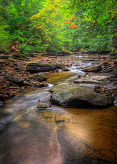Fototapeta premium Brandywine Creek Falls