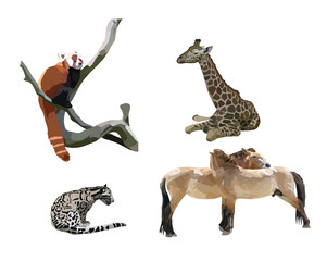 Fototapeta premium feline, giraffe, Przewalski horse, panda small on a white background 