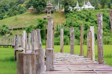 Naklejka premium Pathway in rice
