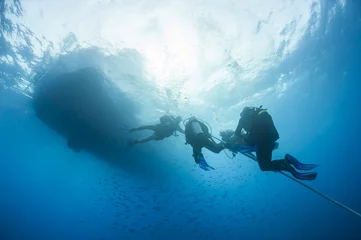 Gordijnen Divers decompressing underwater on a rope © Paul Vinten