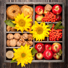 Fototapeta na wymiar Autumn harvest. Composition in wooden box. Red apples, nuts, flowers, sunflowers, dried apples