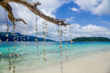 Sea Bright, beautiful at tropical island