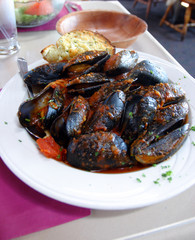 Gourmet mussels served with fresh herbs for a tasty seafood meal..