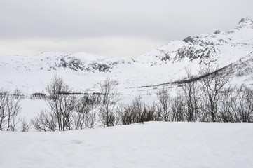 Paisagem de inverno