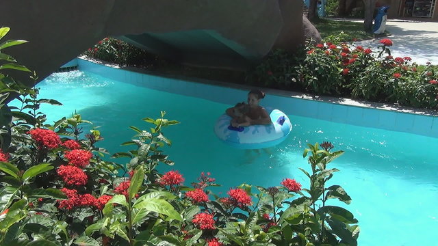 Young beautiful women and baby swim on swimming circles  on a slow river in tropical garden. woman washes the baby
