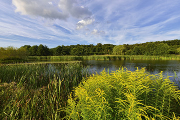  colors surround a small lake near Round Pond.