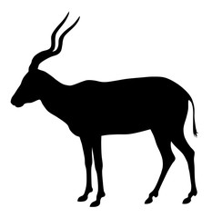 Adax antilope