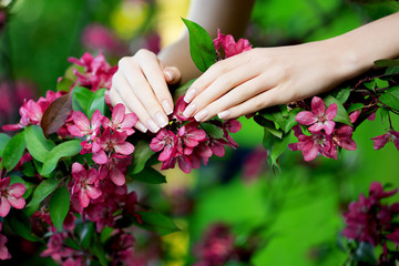 Obraz na płótnie Canvas Hands with a stunning manicure on flowers