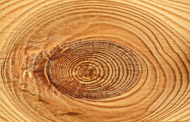 Fototapeta na wymiar Wood texture close-up background.