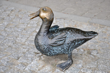 nałęczowskie kaczki © amadeusz