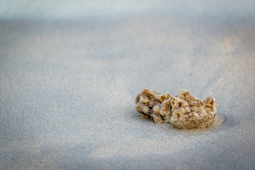 Small rock washed away in white sand