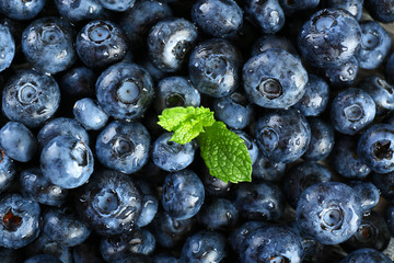 Tasty ripe blueberries with green leaves close up