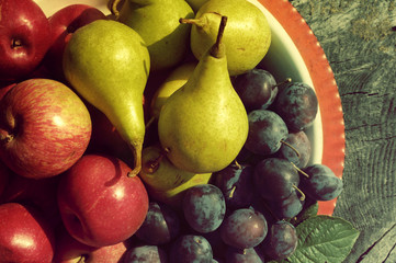 Red apples, green pears and plums in an iron bowl close up. Autumn crop of fruit.