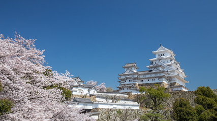 春の姫路城