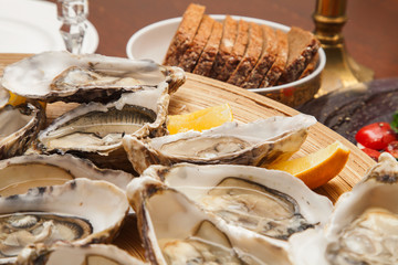 Oysters on plate