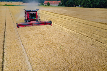 Fototapeta na wymiar Combines and tractors working on the wheat field
