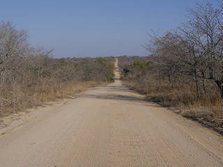 Kruger National Park