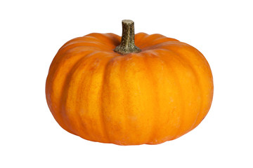 Pumpkin isolated on the white