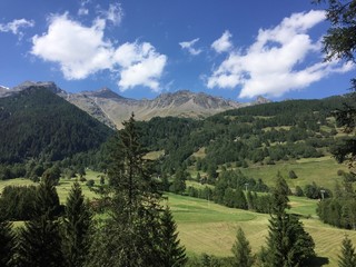 Obraz premium montagne panorama verde natura