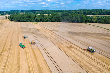 Combines and tractors working on the wheat field